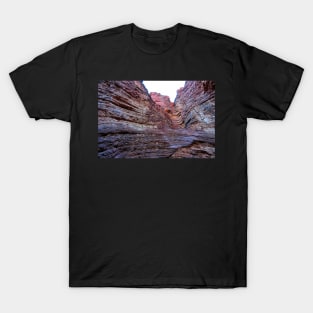 Argentine - Quebrada de las Conchas T-Shirt